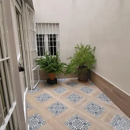 Rentalsevilla En La Plaza Del Salvador Sevilla