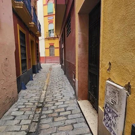 Rentalsevilla En La Plaza Del Salvador *